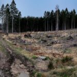Landschaften im künstlerischen Kontext. Landschaftsfotografie und redaktionelle Fotografie von Patrick Engel aus NRW.