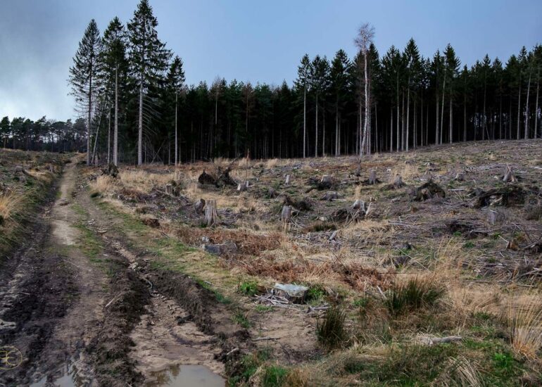 Landschaften im künstlerischen Kontext. Landschaftsfotografie und redaktionelle Fotografie von Patrick Engel aus NRW.