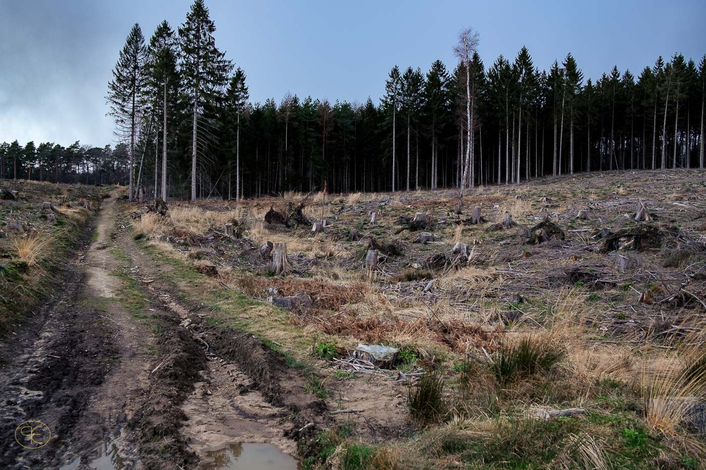 Landschaften im künstlerischen Kontext. Landschaftsfotografie und redaktionelle Fotografie von Patrick Engel aus NRW.
